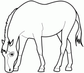 Dessin de cheval 