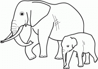 Dessin de elephants et elephanteau 
