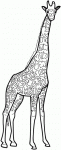 Dessin de girafe 