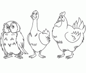 Dessin de hibou et oie et poule 