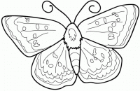 Dessin de papillon 
