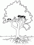 Dessin de arbre avec racines 