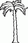 Dessin de palmier avec un long tronc 