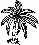 Dessin de palmier 