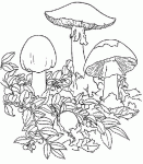 Dessin de dessin de champignons 