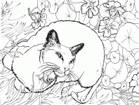 Dessin de un chat allonge sur des fleurs 
