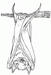 Dessin de chauve souris a l envers sur une branche 