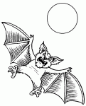 Dessin de chauve souris et lune 