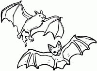 Dessin de deux chauve souris 