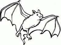 Dessin de une chauve souris vampire 