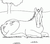 Dessin de cheval assis dans l herbe 