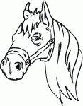 Dessin de cheval avec belle criniere 
