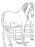Dessin de cheval et barriere 