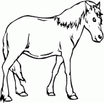 Dessin de coloriage de cheval 