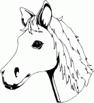 Dessin de coloriage de la tete d un cheval 