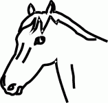 Dessin de dessin de la tete d un cheval 