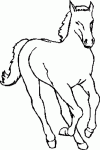 Dessin de jument au galop 