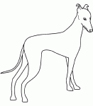 Dessin de greyhound 