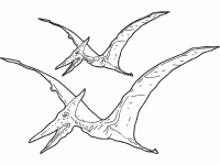Dessin de Pterosauria 