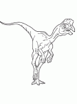 Dessin de oviraptor 