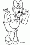Dessin de Daisy la fiancee de Donald 