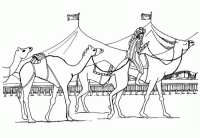 Dessin de dessin de dromadaires 