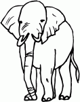Dessin de dessin d elephant 