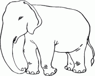 Dessin de elephant a colorier 