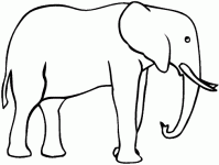 Dessin de elephant de profil 
