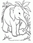 Dessin de elephant qui se promene 