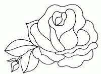 Dessin de fleur de rose 