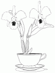 Dessin de orchidee dans un pot 