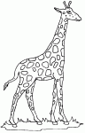 Dessin de girafe avec un long cou 