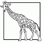 Dessin de girafe dans un cadre 