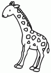 Dessin de la girafe 