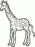 Dessin de une girafe a colorier 