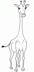 Dessin de une girafe sans ses taches 