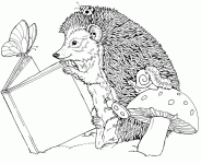 Dessin de Un herisson qui lit un livre a cote d un champignon 