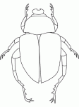 Dessin de scarabee de scarabee 
