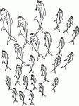 Dessin de banc de poissons 