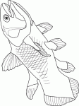 Dessin de coelacanth 