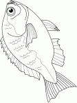 Dessin de poisson 