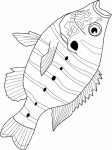 Dessin de sunfish 