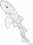 Dessin de zebra bullhead shark 