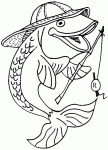 Dessin de dessin d un poisson pecheur 