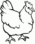 Dessin de dessin d' une poule 
