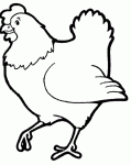 Dessin de dessin poulet 