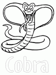 Dessin de Cobra 