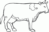 Dessin de dessin d une vache a colorier 