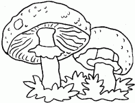 Dessin de dessin de deux champignons 